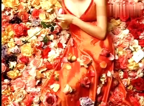 Taylor Swift Our Song-Taylor Swift (泰勒·斯威夫特)