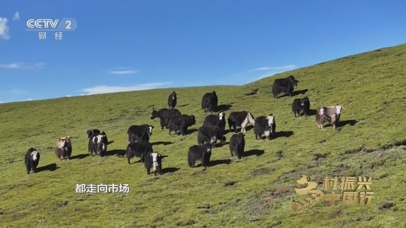 乡村振兴中国行第二季