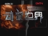 动物世界 《动物世界》 20111230