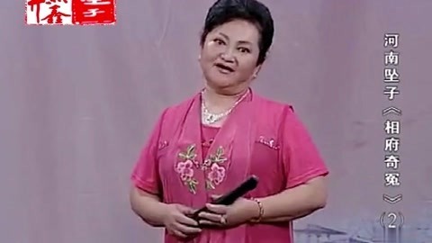 河南坠子 河南坠子 相府奇冤 二部