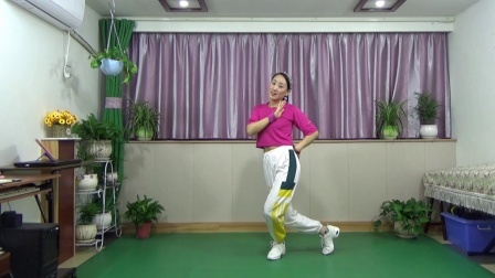 蓝莓思洁广场舞 美歌美舞欣赏《蜓儿点水蝶恋花》优美32步 真好看