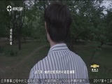 有多远走多远 《有多远走多远》 20171029 城市歌行者