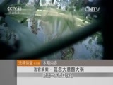 法律讲堂 《法律讲堂（生活版）》 20151228 法官解案·疏忽大意酿大祸