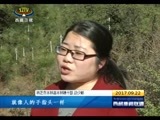 西藏新闻联播 《西藏新闻联播》 20170922