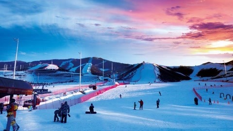 男生女生向前冲第十季 双星联播助力冬奥冰雪世界与你相遇