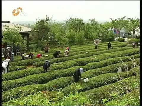 山东新闻联播 《山东新闻联播》 20140615