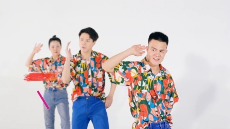 青苹果乐园—毕刚（导视）