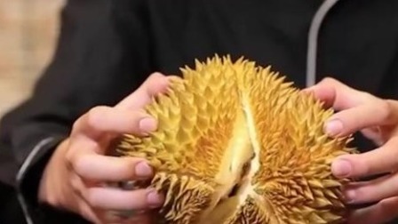 @所有人 一只榴莲等于三只鸡？榴莲的热量到底有多高