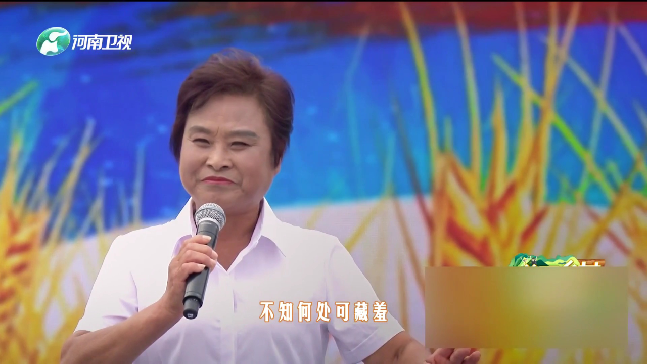 梨园春天天看 杨帅学 河南坠子《黄河人家》