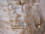 致富经 《致富经》20150908 发现山珍虎奶菇之后