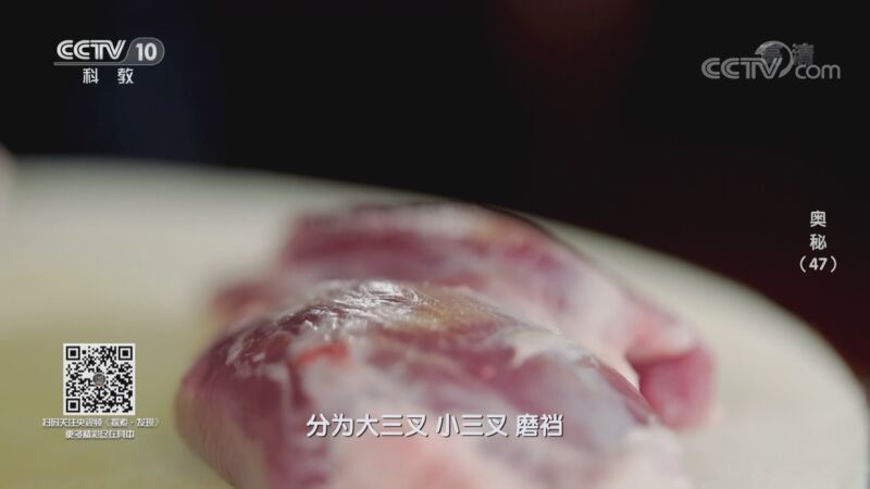 奥秘 《奥秘》 20200922 （47）