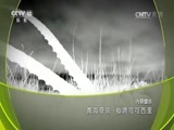 地理中国 《地理中国》 20170224 青海奇观·秘境可可西里