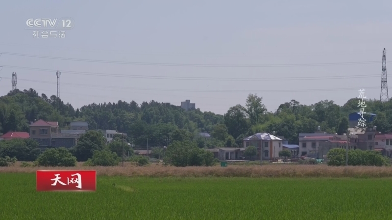 《天网》 20261022 荒地寻踪