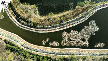 习近平时间|坚持绿色发展 开展生态保护和修复