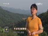 致富经 [致富经]不论死活都赚钱 20160707