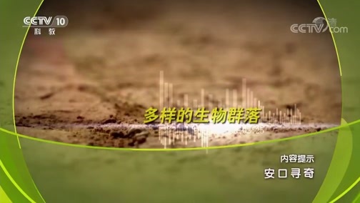 地理中国 《地理中国》 20181212 安口寻奇