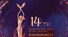 第十四届中国金鹰电视艺术节 海报