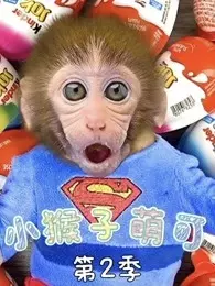 《小猴子萌可 第2季》剧照海报