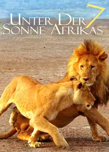 《走进非洲7拂晓之狮》海报