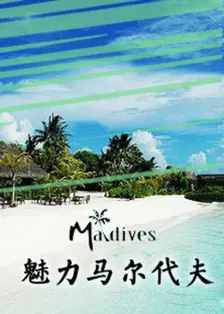 魅力马尔代夫 海报