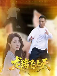 龙猪飞上天 海报