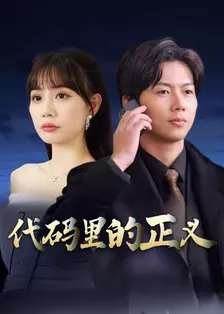 代码里的正义 海报