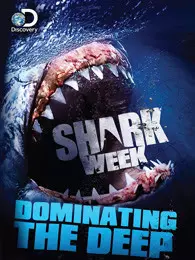 鲨鱼周2015 海报