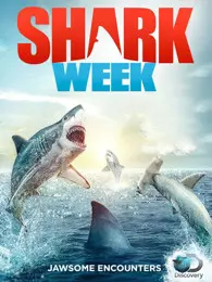 鲨鱼周2016 海报