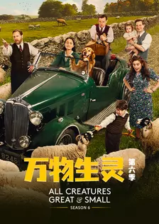 万物生灵 第六季 海报