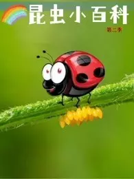 昆虫小百科 第2季 海报