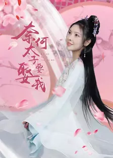 奈何太子要娶我