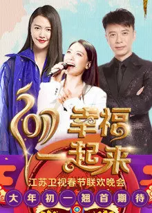 2017鸡年江苏卫视春晚 海报