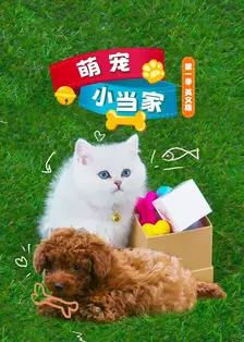 萌宠小当家 第一季 英文版