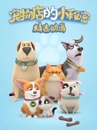 飞狗MOCO之宠物店的小秘密动画精选集 海报