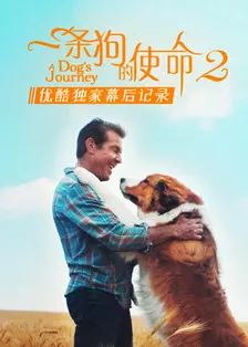 Misi Seekor Anjing 2 - Babak Di Sebalik Tabir Eksklusif Youku