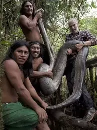 BBC：部落、动物和我 海报