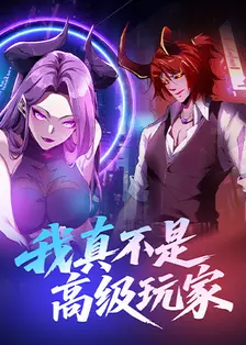 我真不是高级玩家 海报