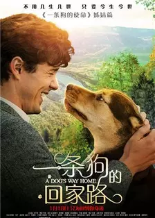 《一条狗的回家路 普通话版》海报