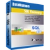 DataNumen SQL Recovery