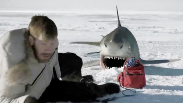 冰川鲨鱼:见到鲨鱼游过来,男子还不懂逃跑,结果后悔不及了