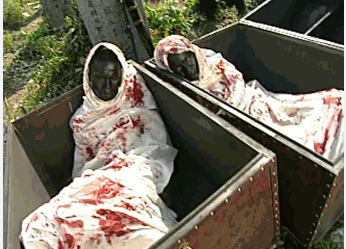 《少年包青天》中的焦尸是黑人扮演的?于是我找来视频看了看.