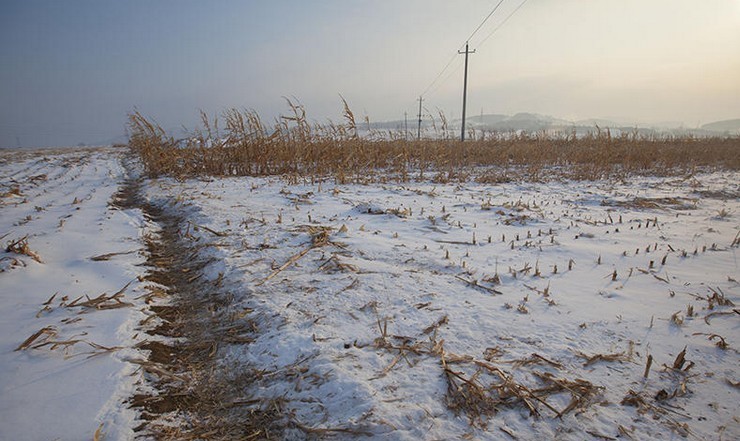 怕玉米被偷 他在雪中土棚一住就是仨月