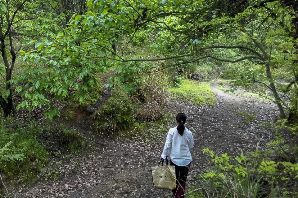 逃离雾霾 农家女大山里挤奶捉鱼采蘑菇 - 周公乐 - xinhua8848 的博客