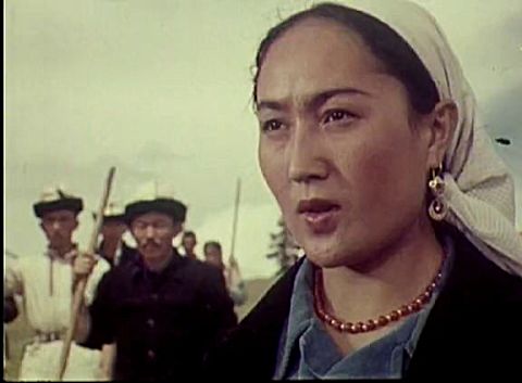 天山的红花 国产经典老电影