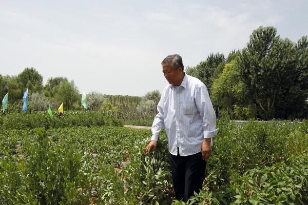 这位老人将"大奔"开进沙漠一待十年 种出万亩绿洲