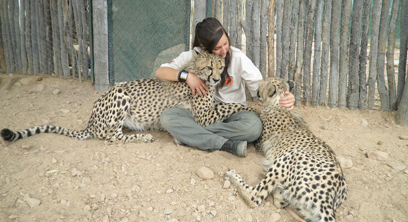 瑞典美女跑南非當飼養員 把獵豹當兒子親暱擁吻