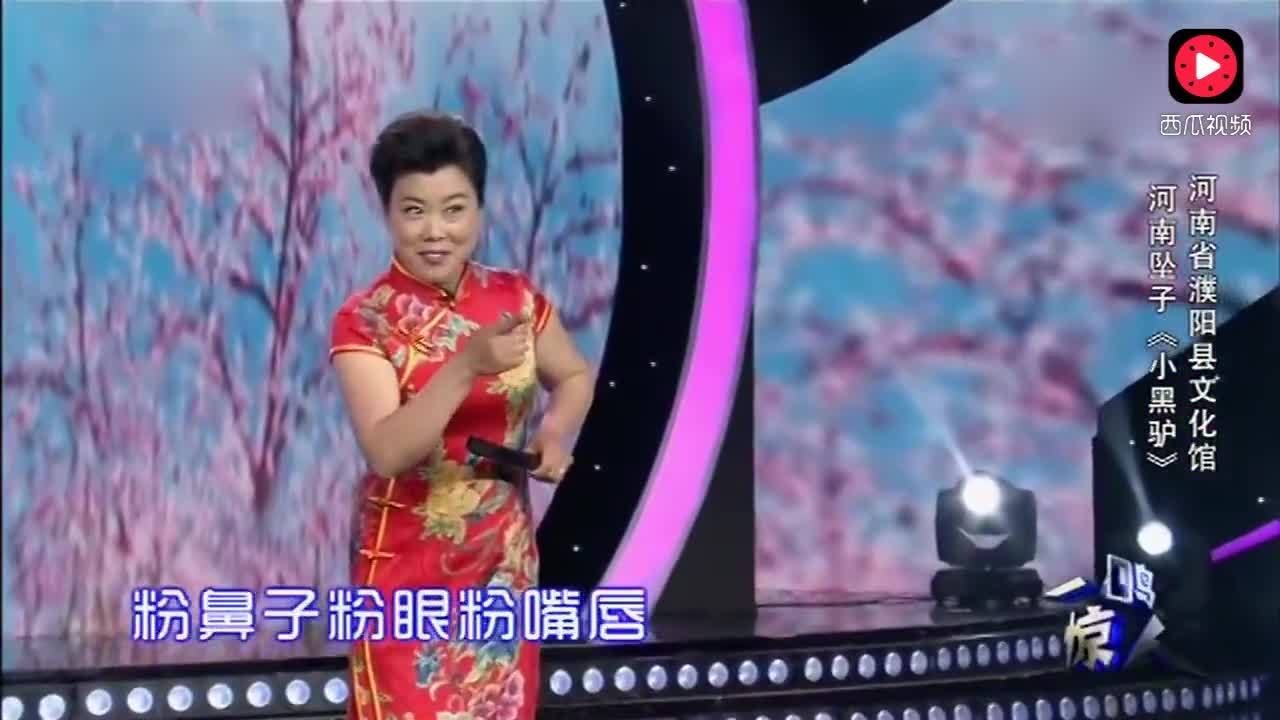 河南坠子《小黑驴》表演:赵翠英