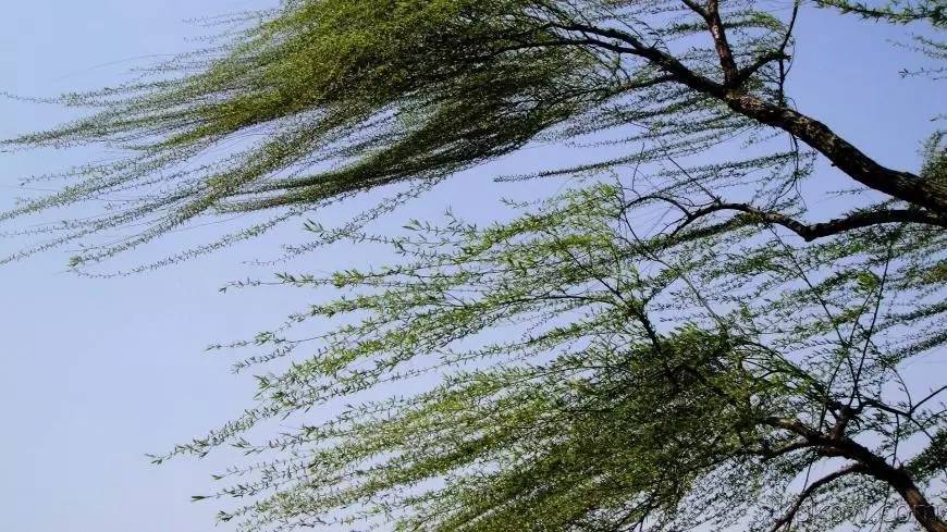 银川气象台发布大风 雷电预警,风来了!雨来了!-北京时间