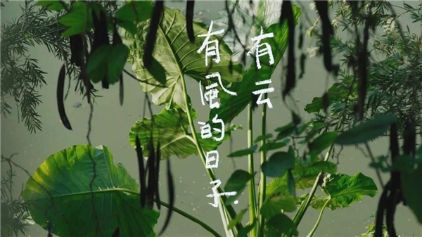 广汽丰田丰云行app电影短片有风的日子有云引起广泛关注传递品牌爱与