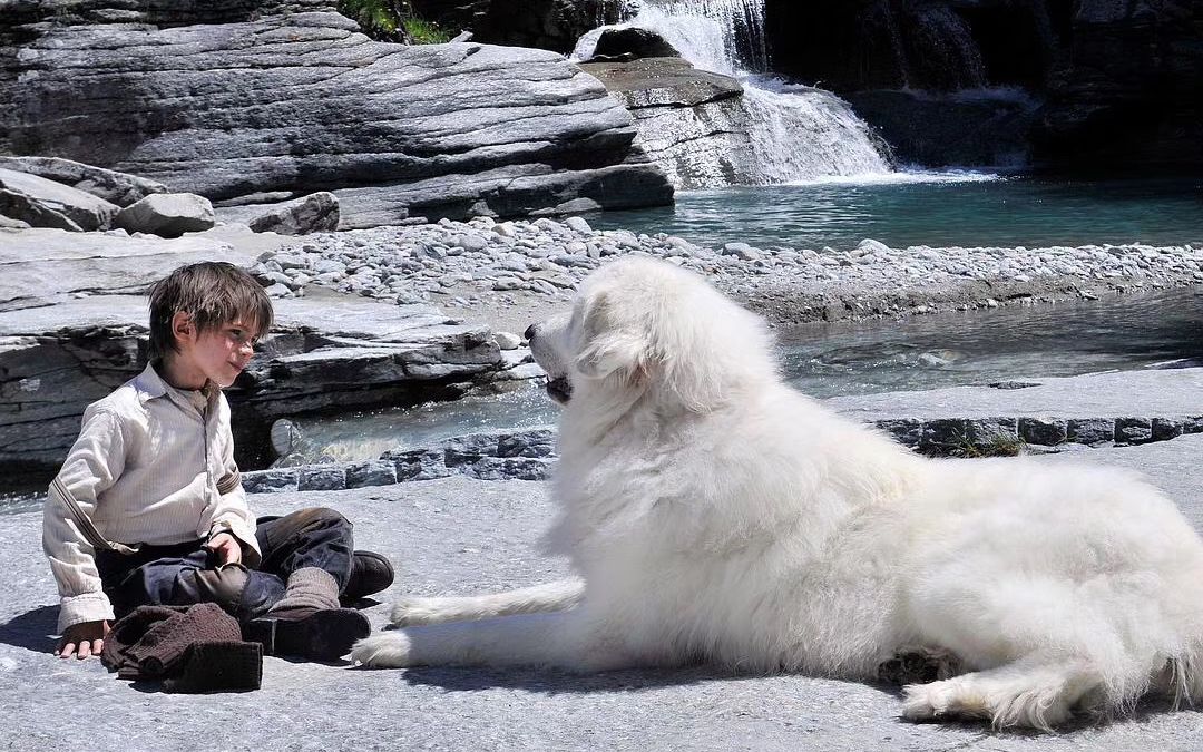 灵犬雪莉